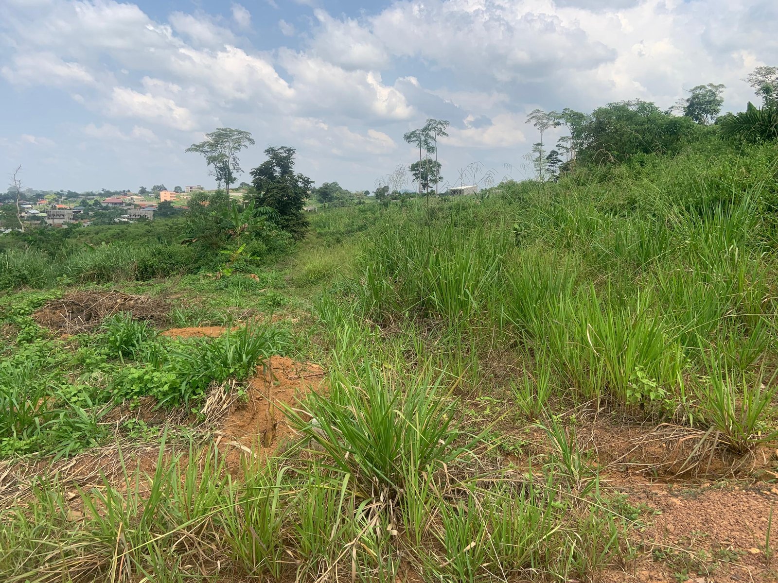 Terrain titré à vendre, Manassa, Yaoundé 