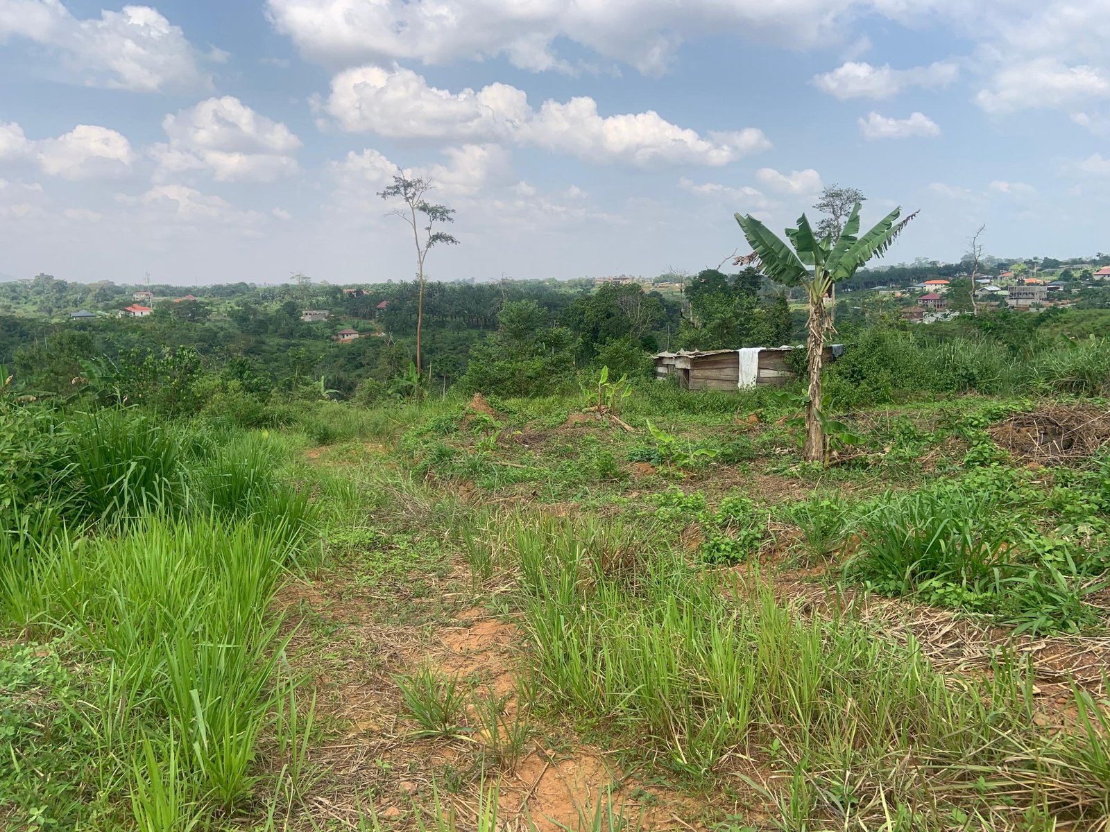 Terrain titré à vendre, Manassa, Yaoundé 