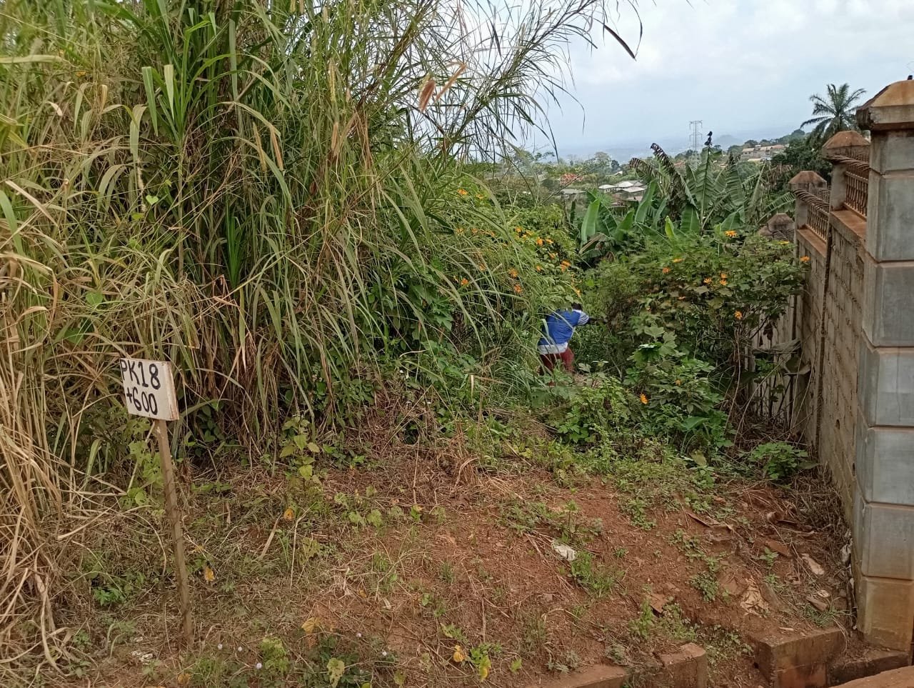 Terrain titré à vendre, Nkolondom, Yaoundé 