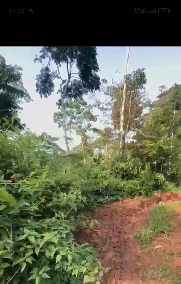Terrain à vendre, Mbankomo, Yaoundé 