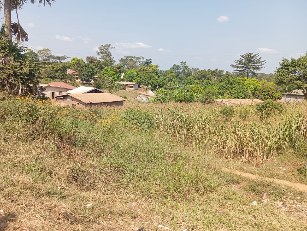 Terrain titré à vendre, Nkometou, Yaoundé 