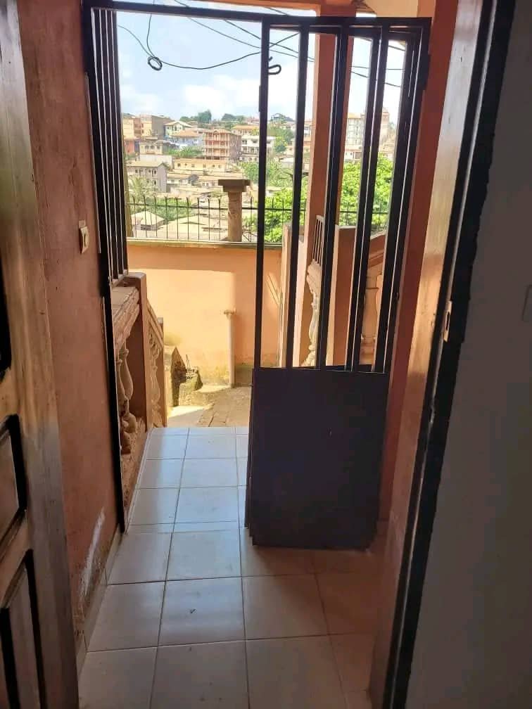 Studio moderne à louer, Omnisport, Yaoundé 