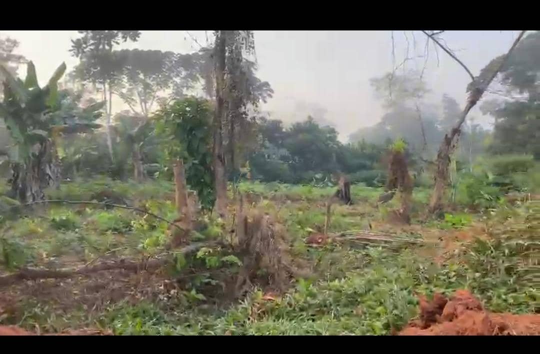 Terrain titré à vendre, NKolfoulou, Yaoundé  