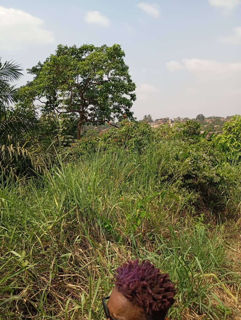 Terrain titré à vendre, Biteng, Yaoundé 