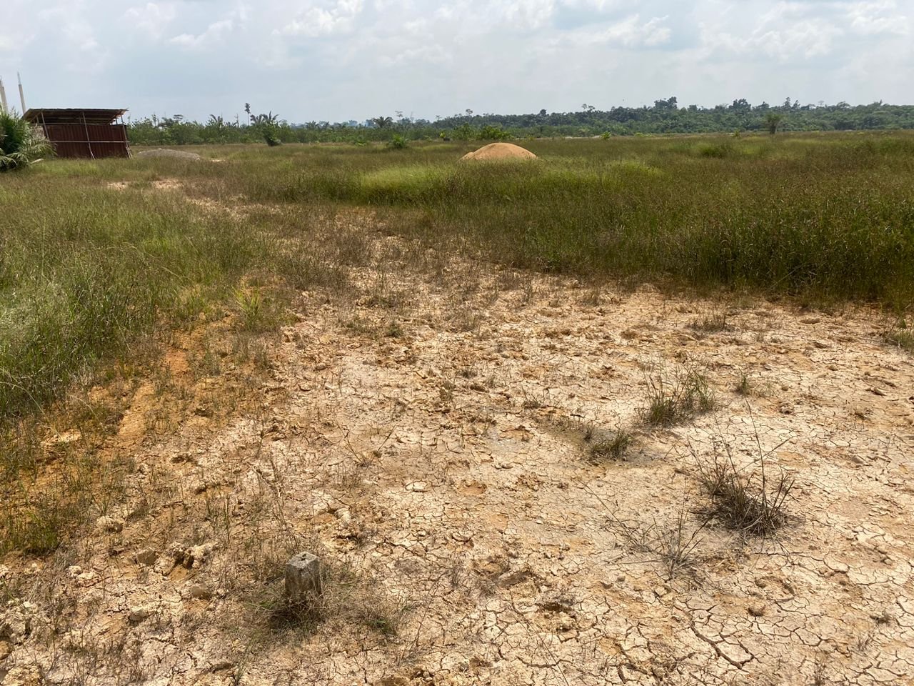 Terrain titré à vendre, yassa, Douala 