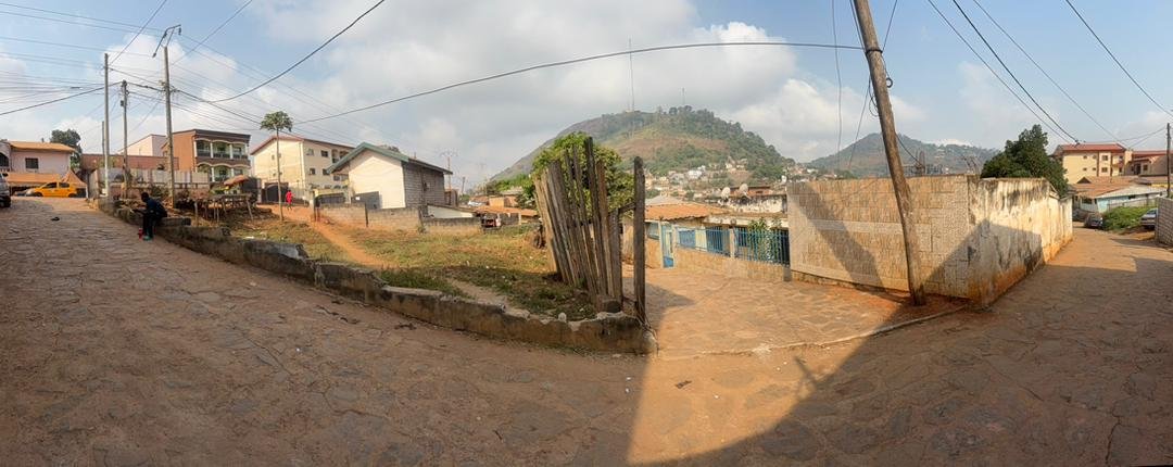 Terrain à vendre, Golf, Yaoundé 