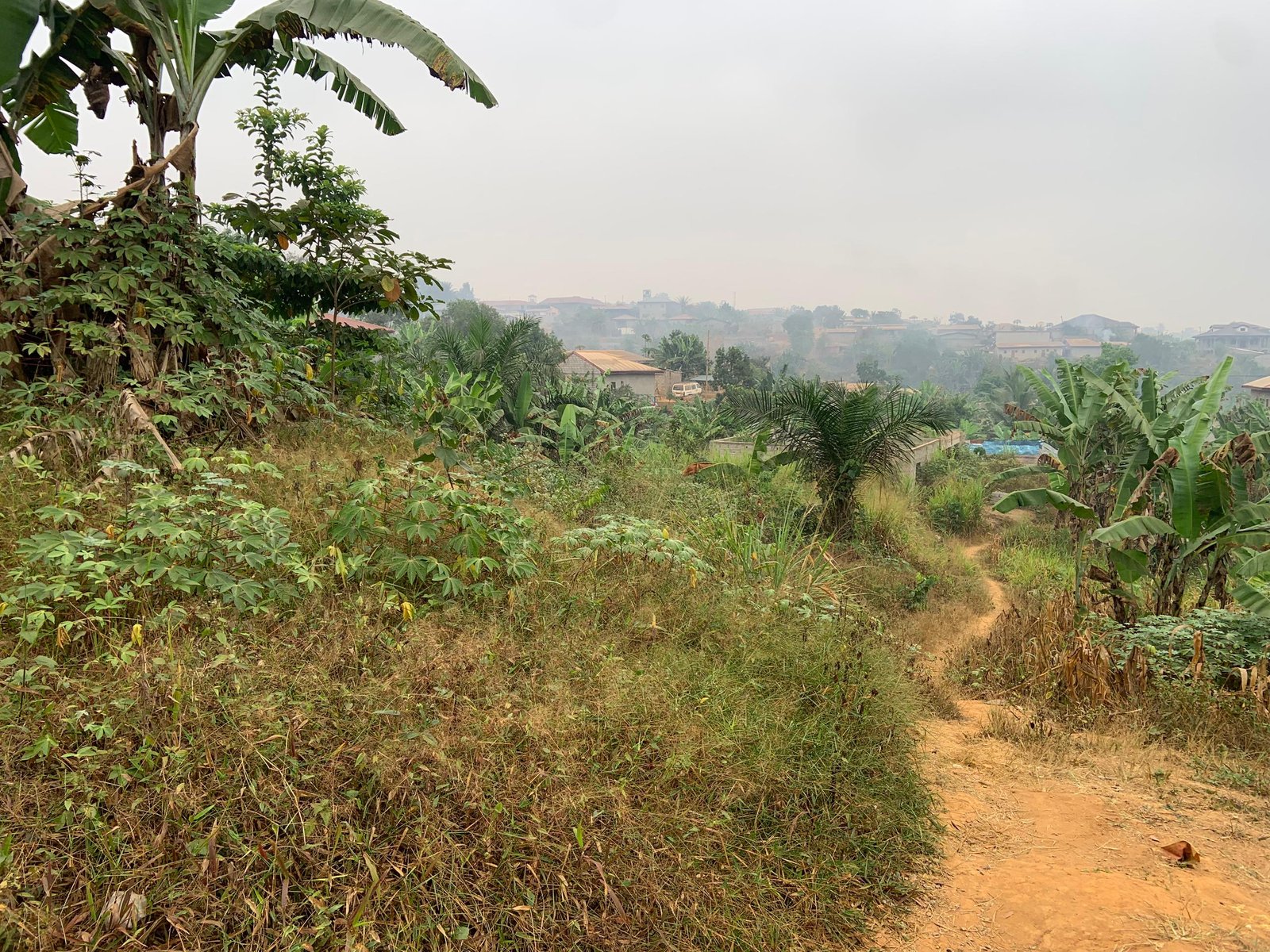 Terrain titré à vendre, Nkoabang, Yaoundé 