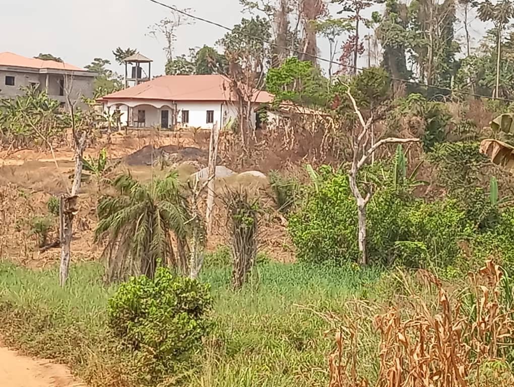 Terrain titré à vendre, Nkolbisson, Yaoundé 