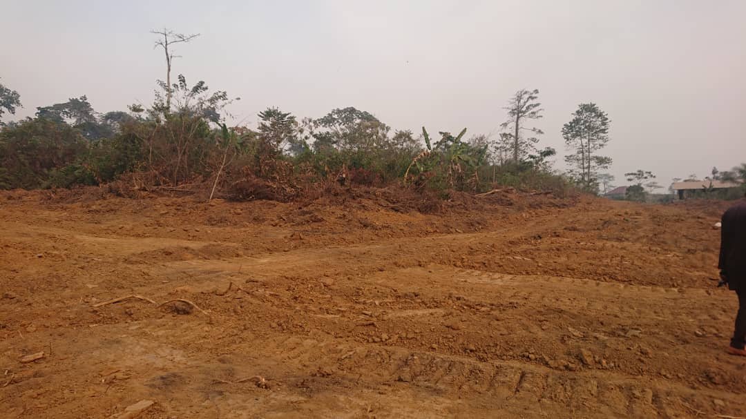 Terrain à vendre, Nkolnda1, Yaoundé 