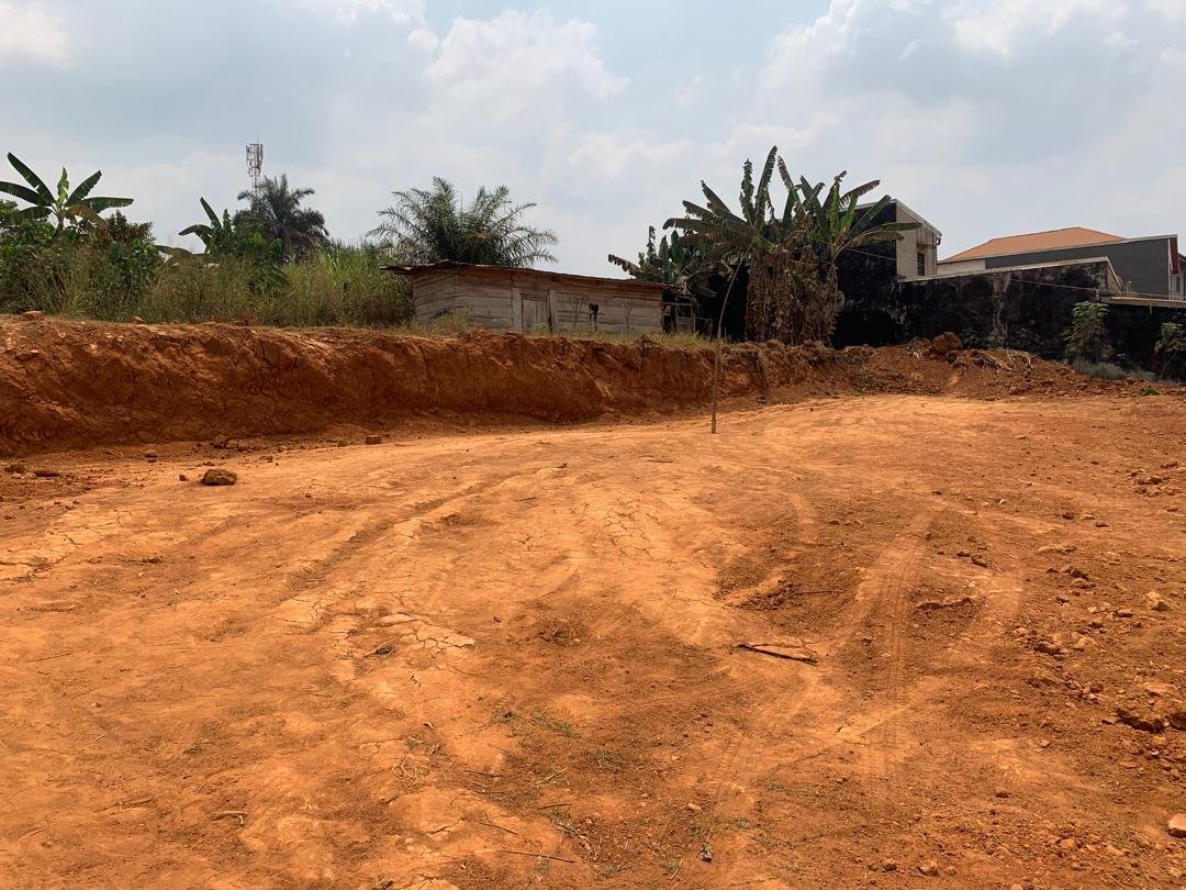 Terrain titré à vendre, Happy, Yaoundé 