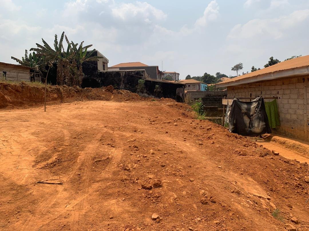 Terrain titré à vendre, Happy, Yaoundé 