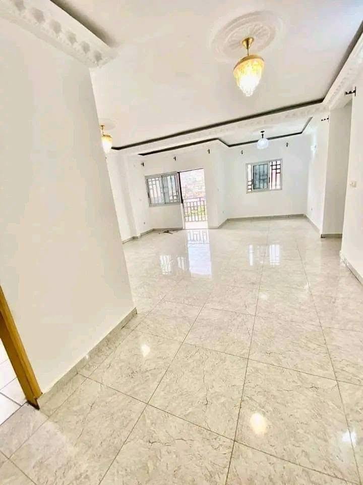 Appartement à louer, Biyem assi, Yaoundé 