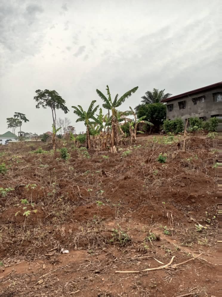Terrain tiré à vendre, Odza, Yaoundé 