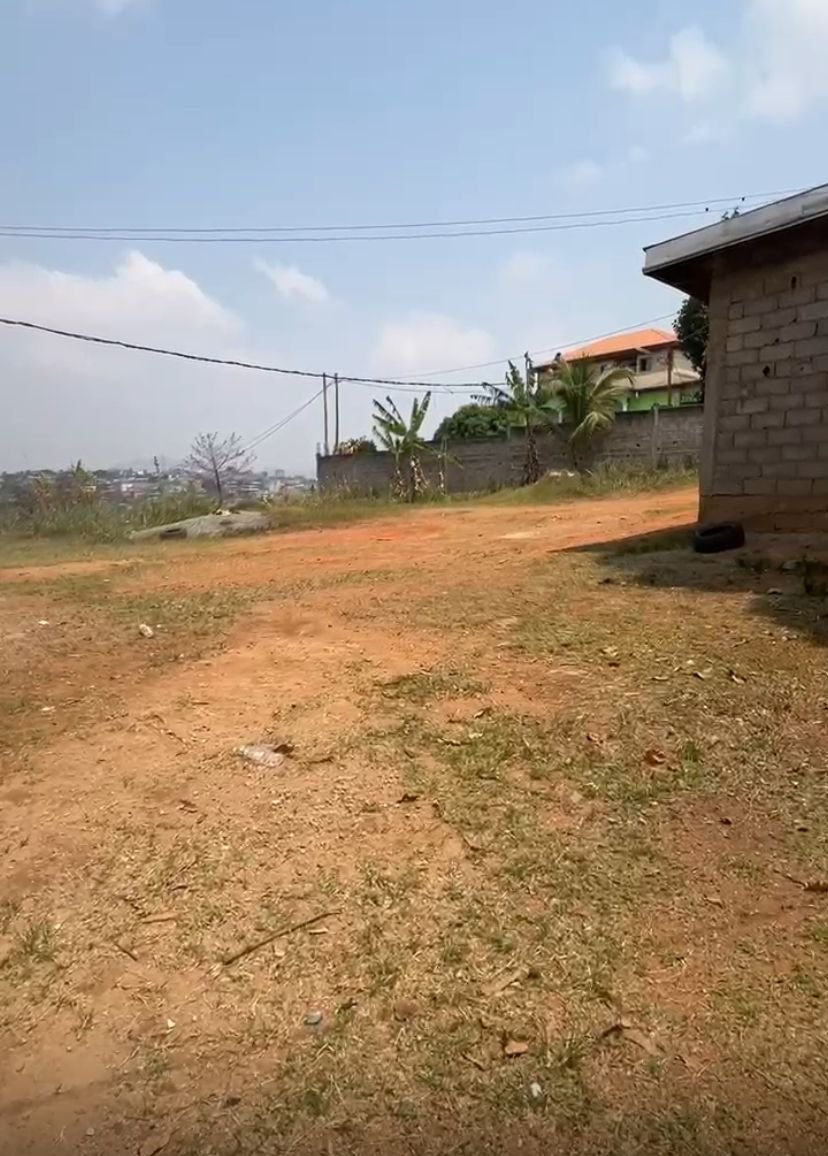 Terrain à vendre, Ahala, Yaoundé 