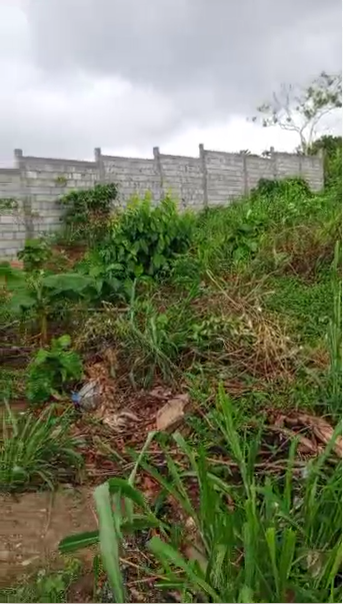 Terrain à vendre, Japoma, Douala 