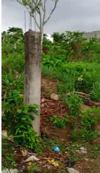 Terrain à vendre, Japoma, Douala 