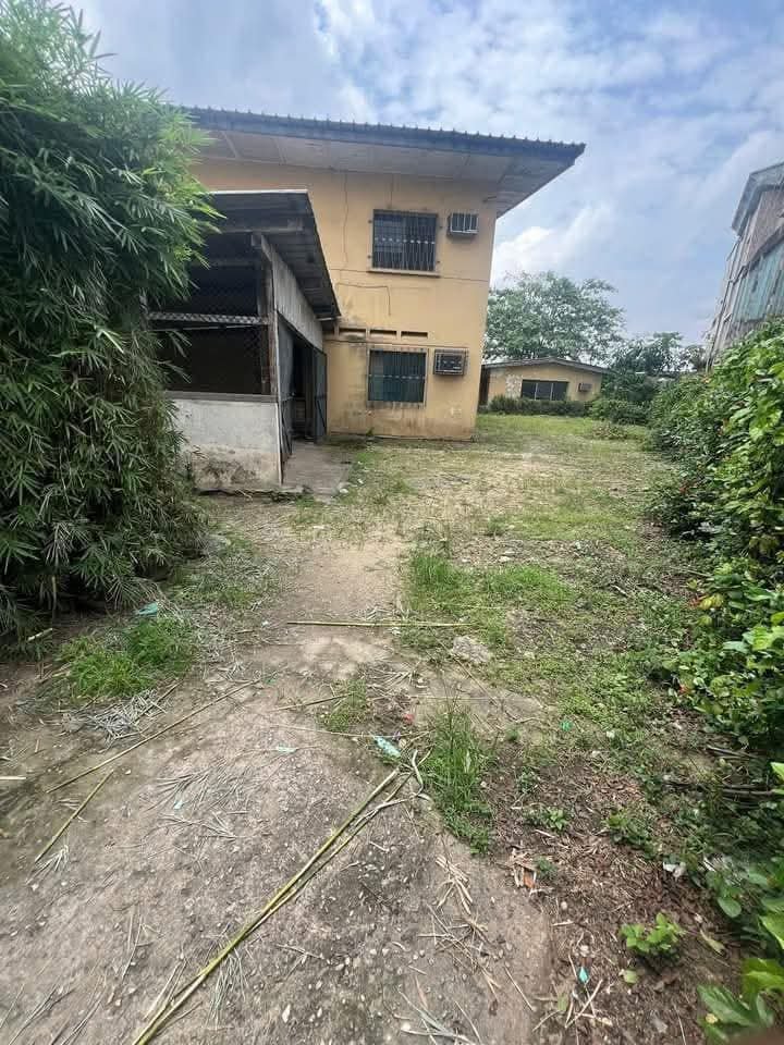 Terrain à vendre, Bali, Douala 