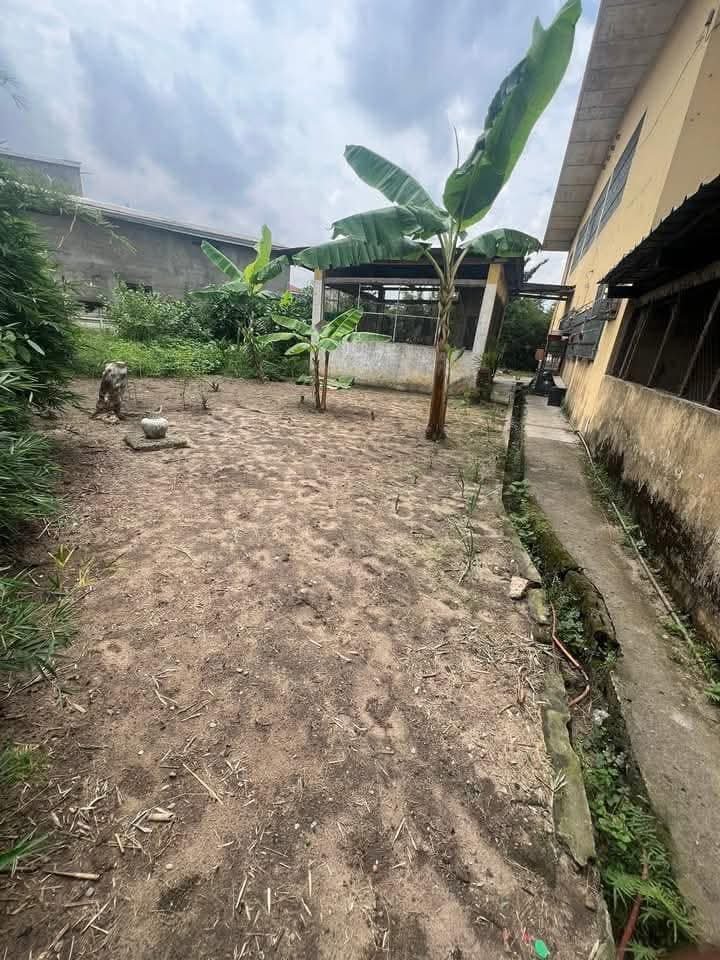 Terrain à vendre, Bali, Douala 