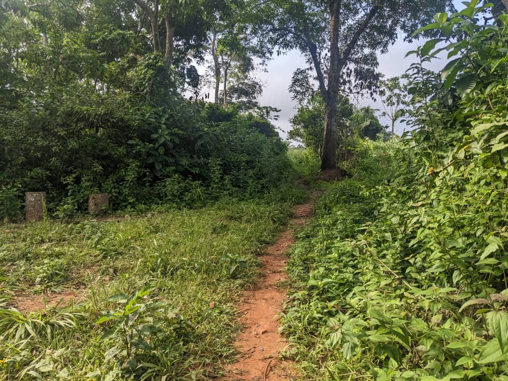 Terrain titré à vendre, Mvian, Yaoundé 