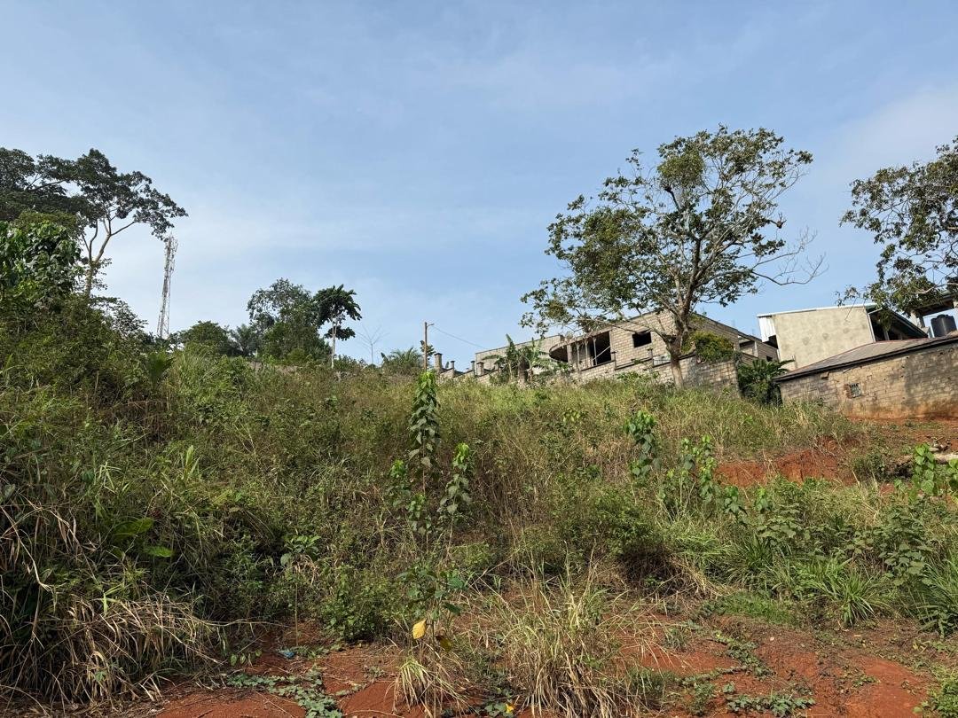 Terrain titré à vendre à Febe Village, Yaoundé (Offre exclusive)