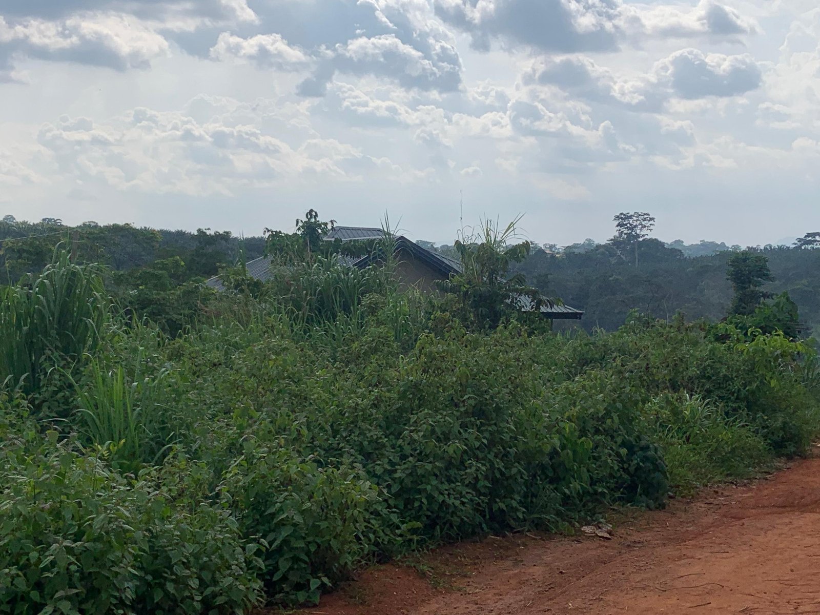 Terrain titré avec bâtisse à vendre, Manassa, Yaoundé 