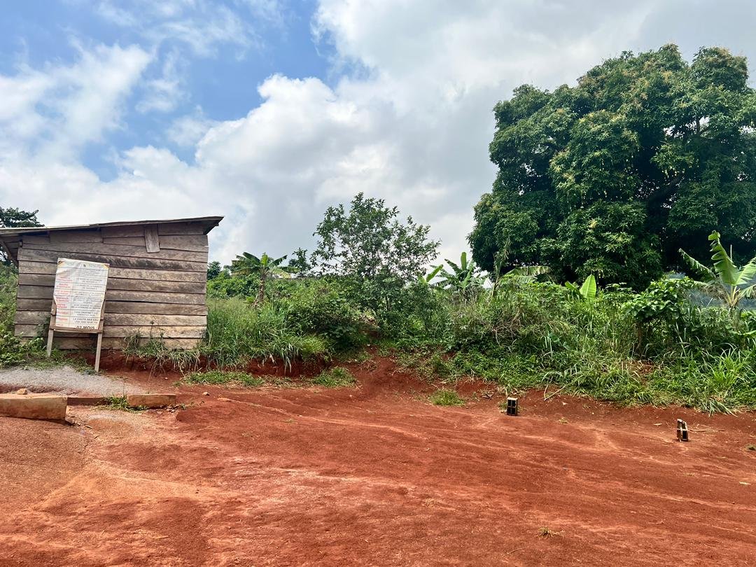 Terrain à vendre, Febe village, Yaoundé  