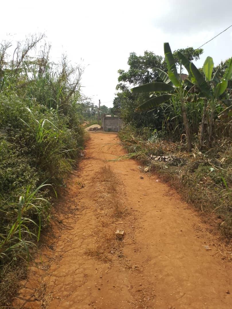 Terrain à vendre, Nyom, Yaoundé 