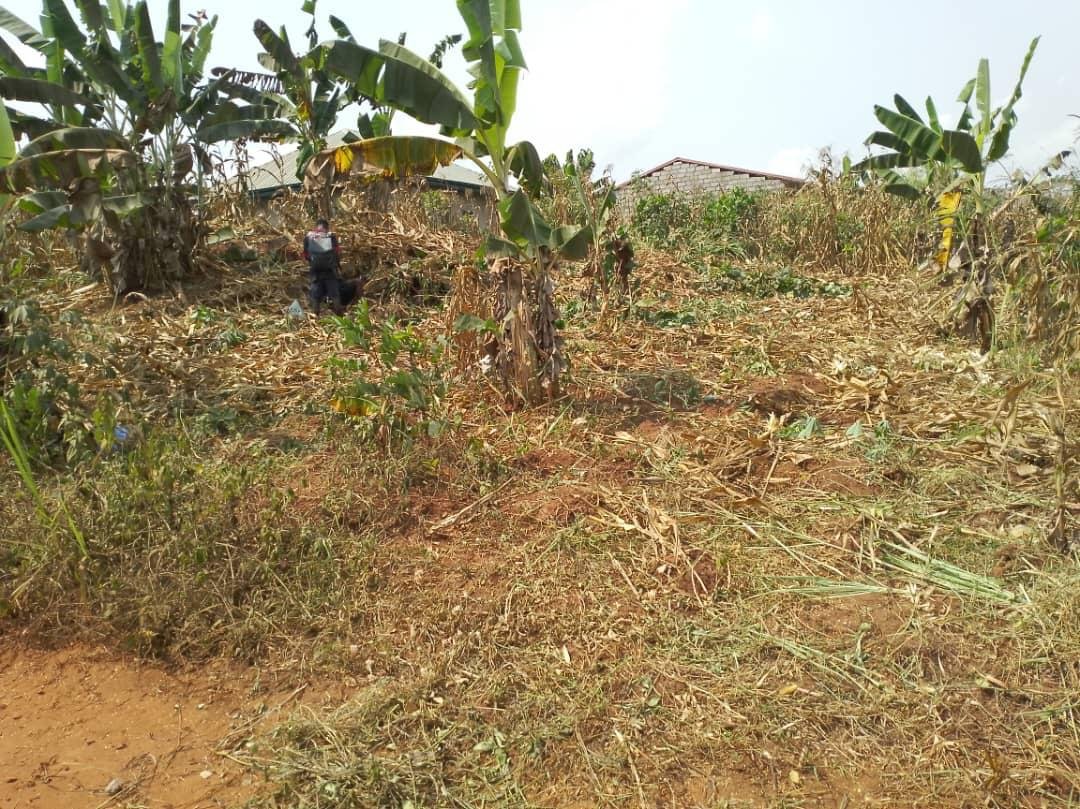 Terrain à vendre, Nyom, Yaoundé 
