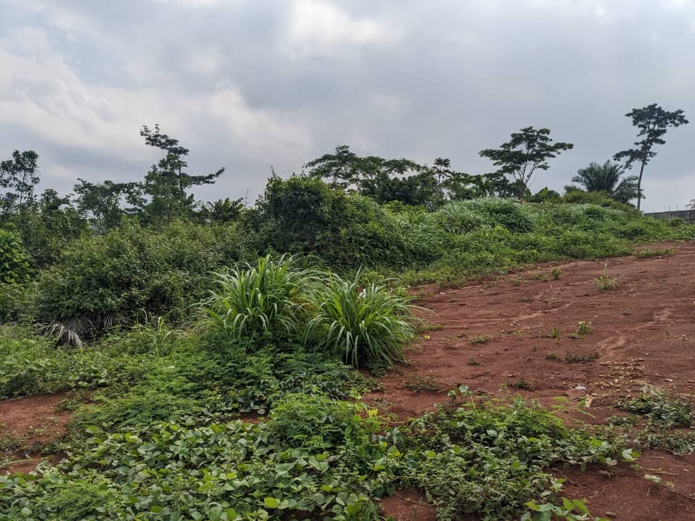 Terrain titré à vendre, Nkoabang, Yaoundé 