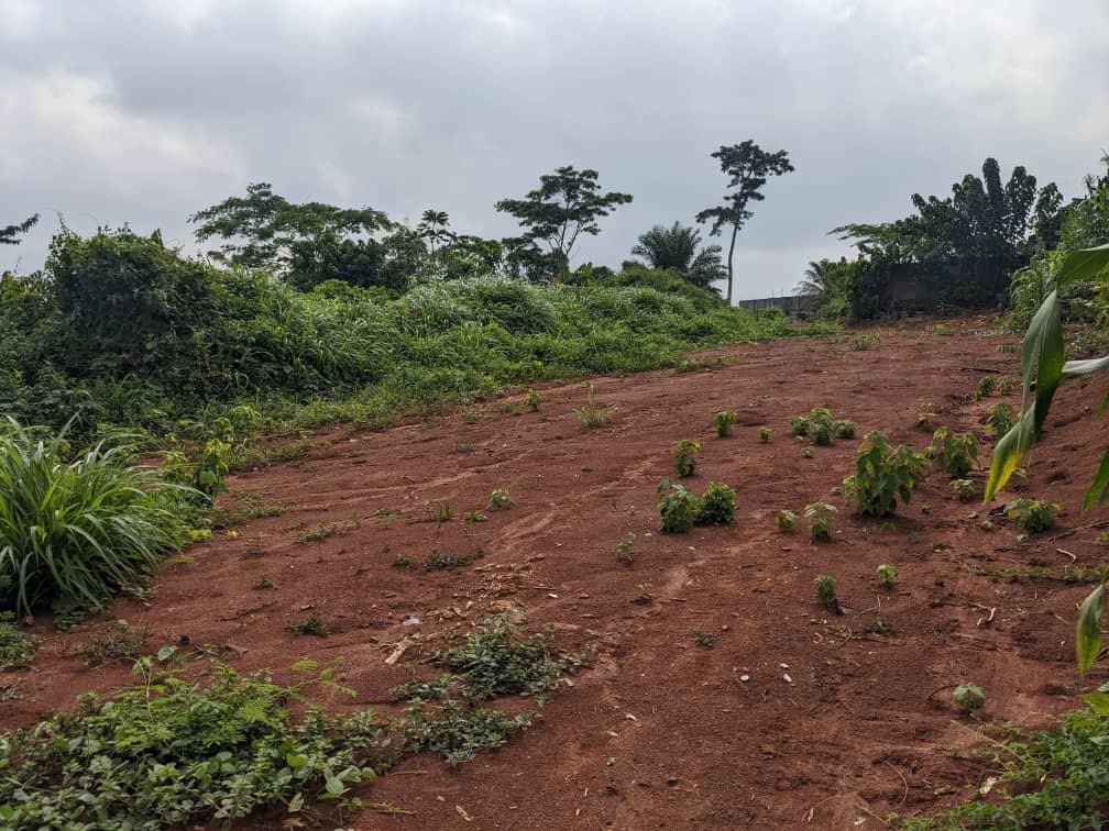 Terrain titré à vendre, Nkoabang, Yaoundé 