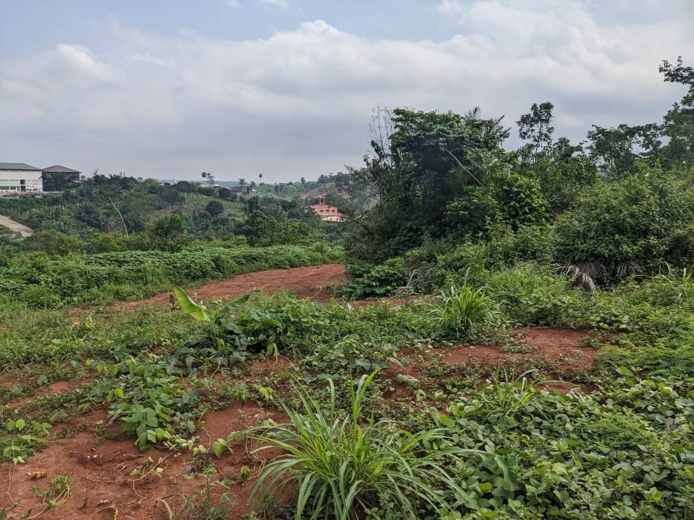 Terrain titré à vendre, Nkoabang, Yaoundé 