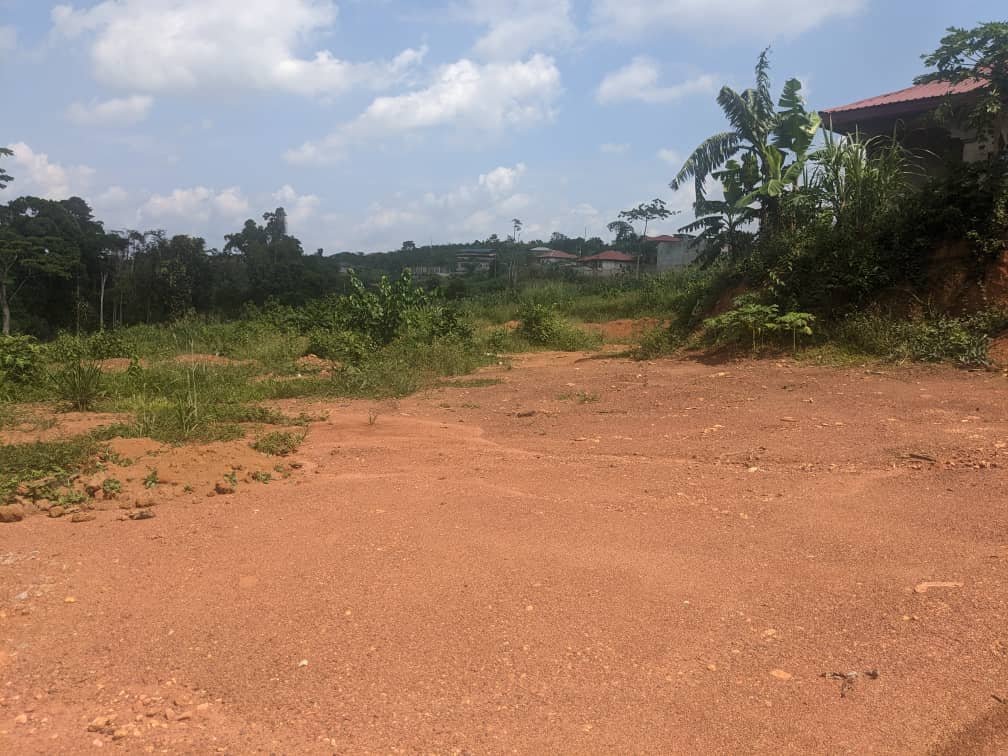 Terrain titré à vendre, Nkoabang, Yaoundé 