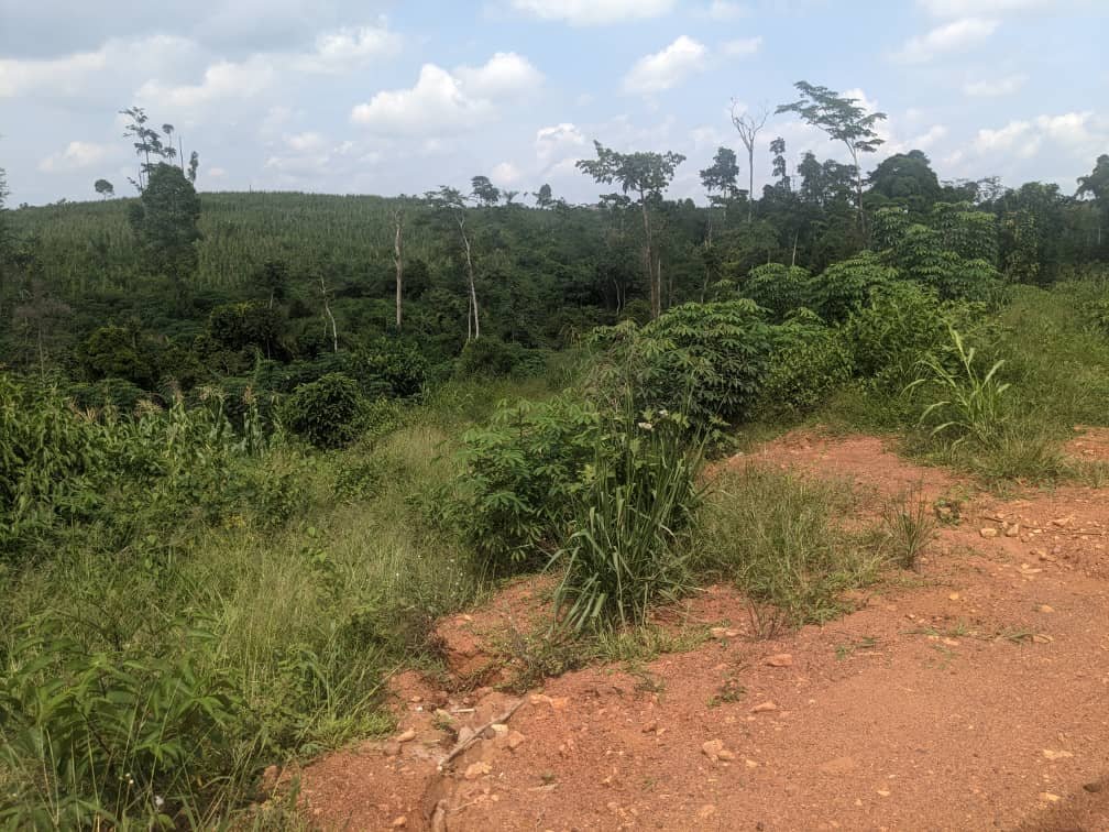 Terrain titré à vendre, Nkoabang, Yaoundé 