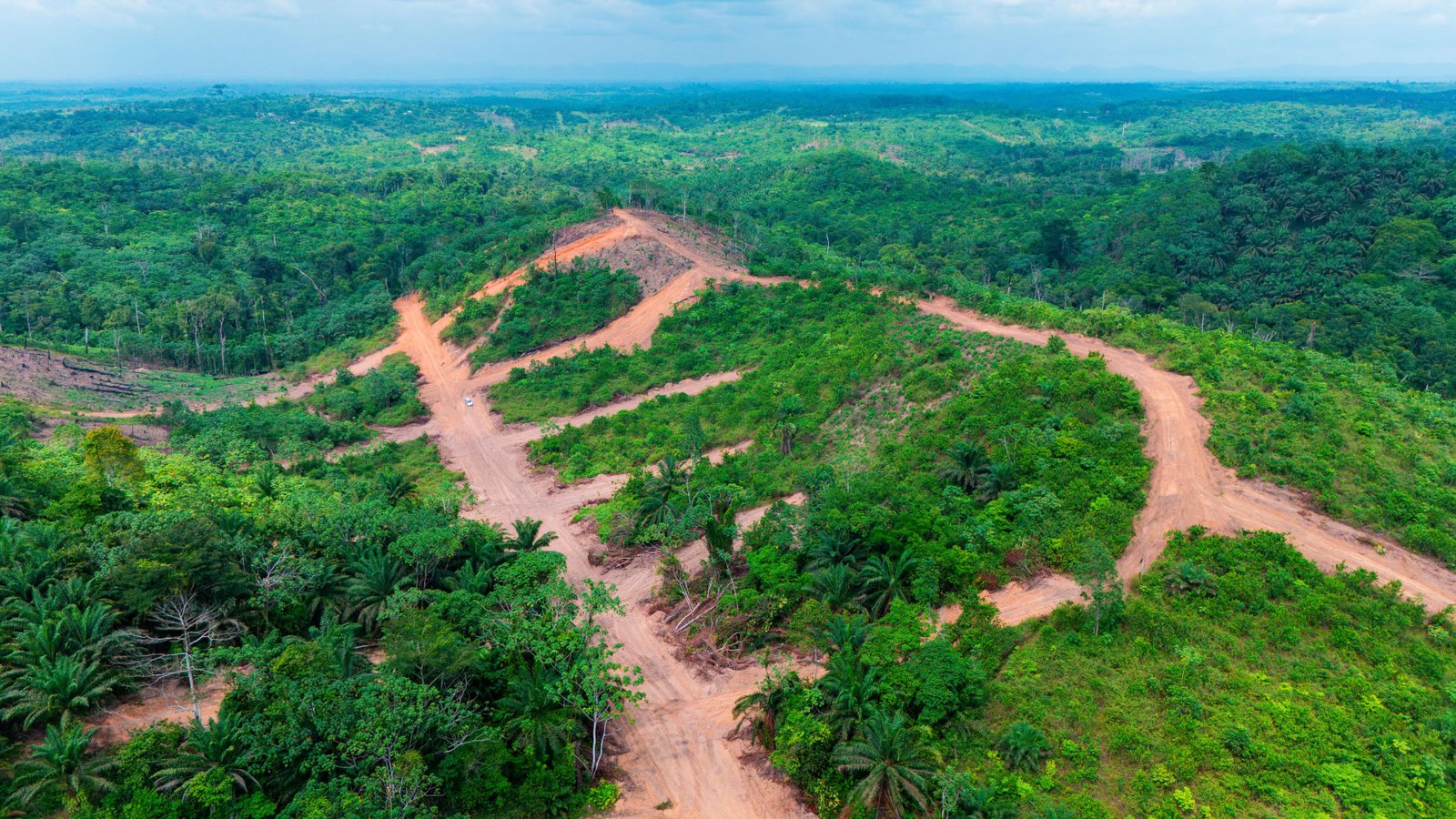 Terrain à vendre, Missole, Douala
