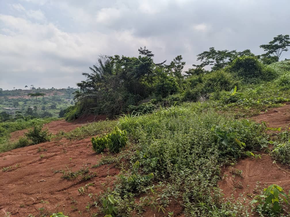 Terrain  à vendre, Mbankomo, Yaoundé 
