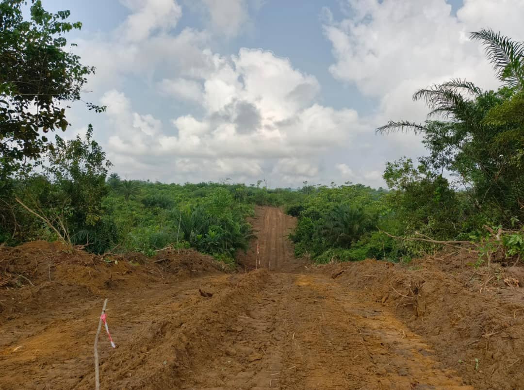 Terrain à vendre, Missole, Douala 