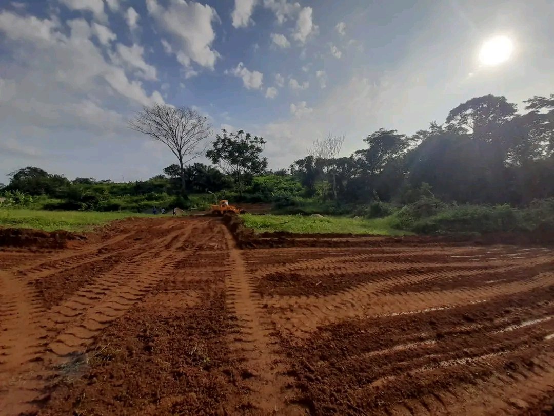 Terrain à vendre, Lendi B, Douala 