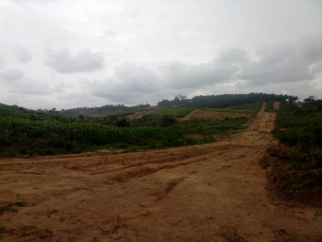 Terrain à vendre, Lendi B, Douala 