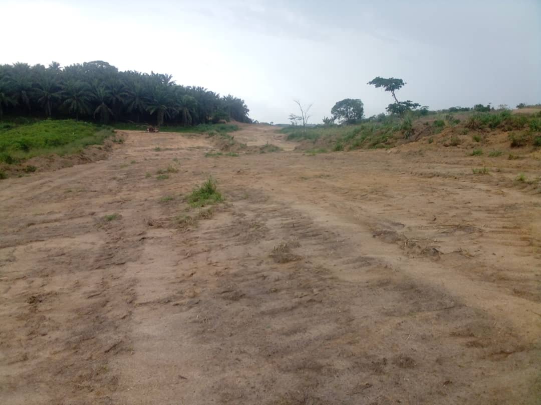 Terrain à vendre, Missole, Douala 