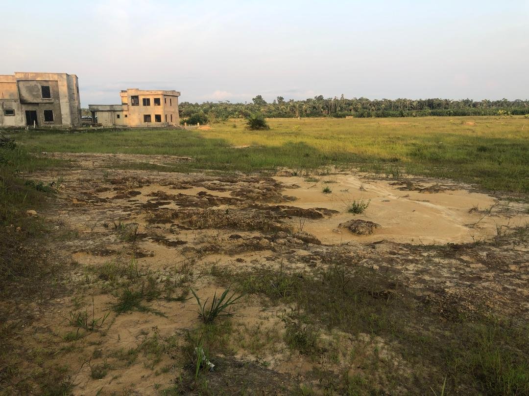 Terrain de 500 m² à vendre – SAD Bwang Bakoko