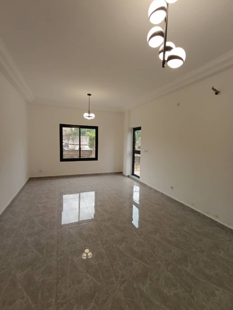 Appartement à louer, Kotto, Douala 