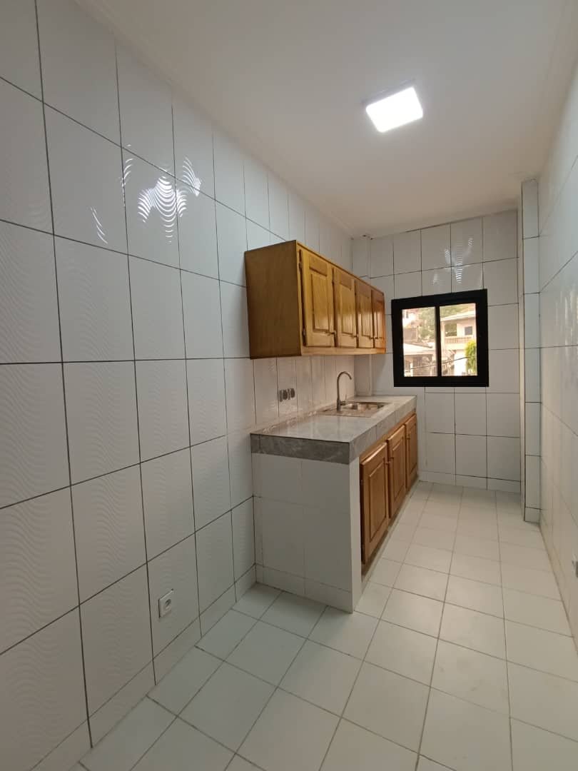 Appartement à louer, Kotto, Douala 