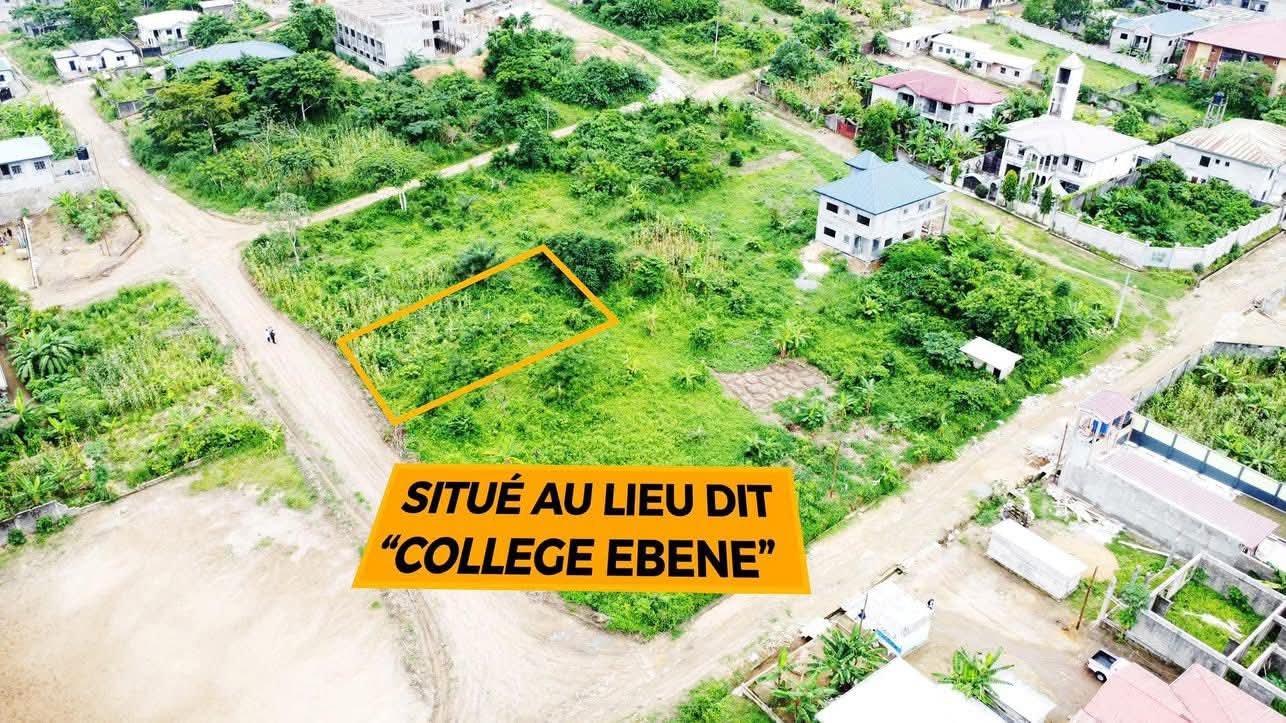 Terrain à vendre Yassa, Douala