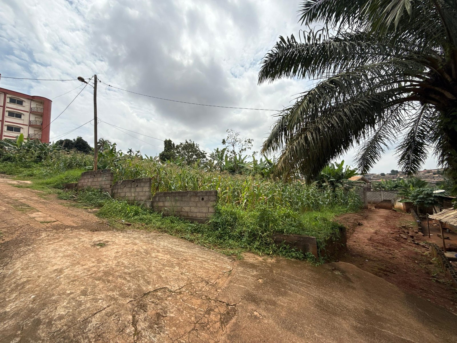Terrain titré à vendre, Ngousso, Yaoundé 