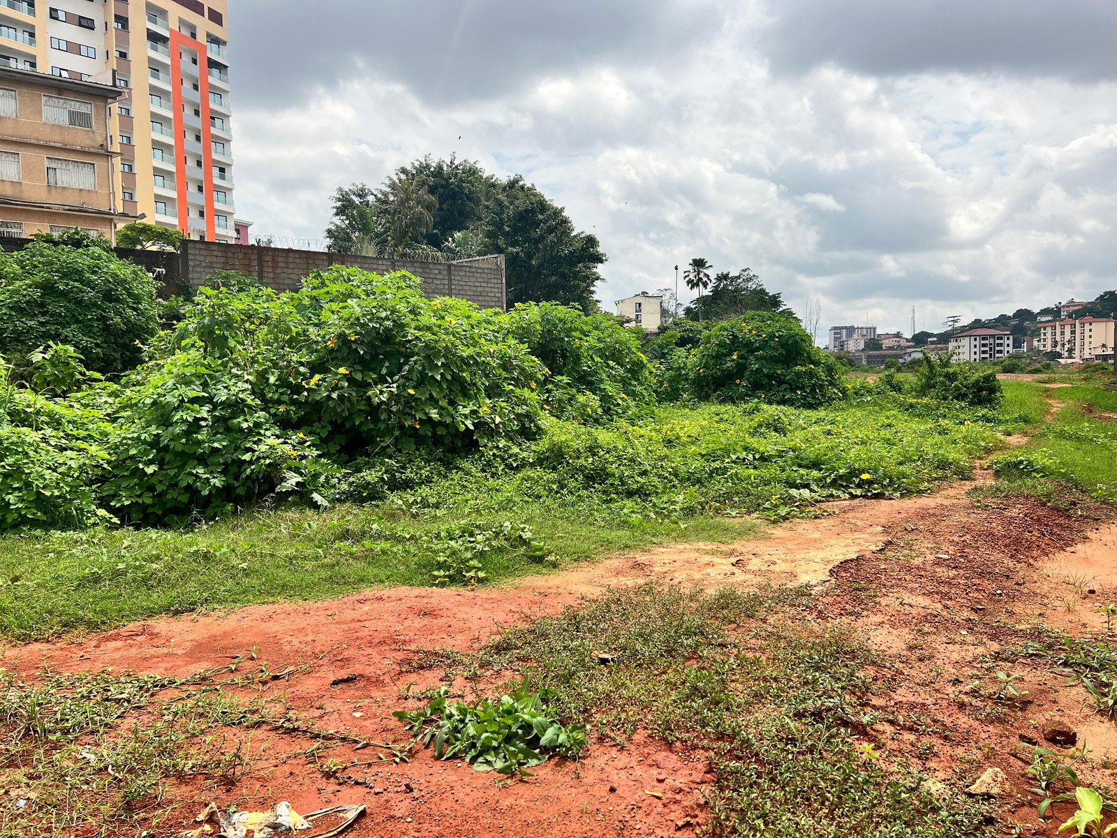 Terrain titré à vendre, Hippodrome, Yaoundé