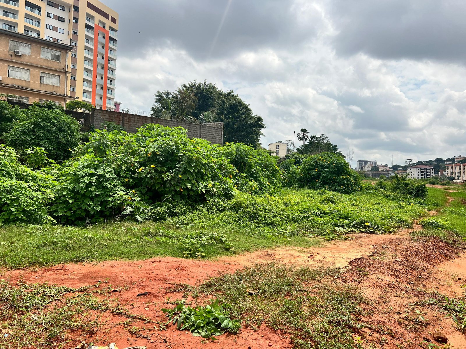 Terrain titré à vendre, Hippodrome, Yaoundé