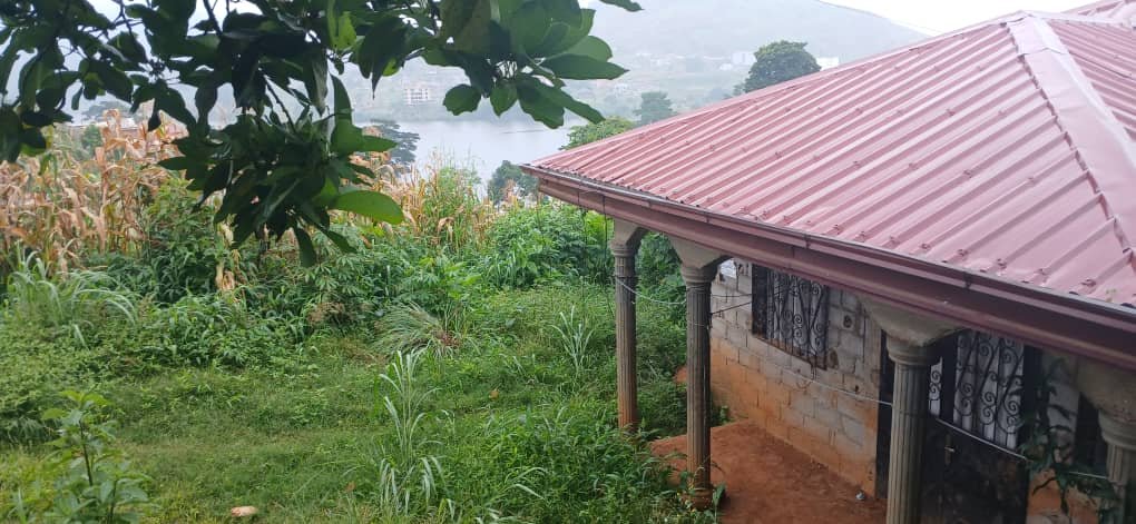 Maison à vendre, Nkolbisson, Yaoundé 