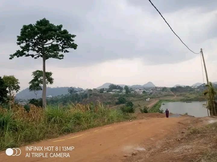 Terrain titré à vendre, Nkolbisson, Yaoundé 