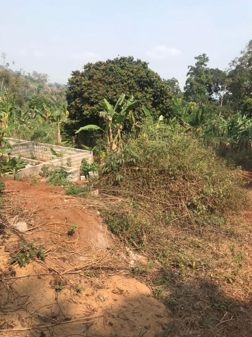 Terrain à vendre, Messassi, Yaoundé 