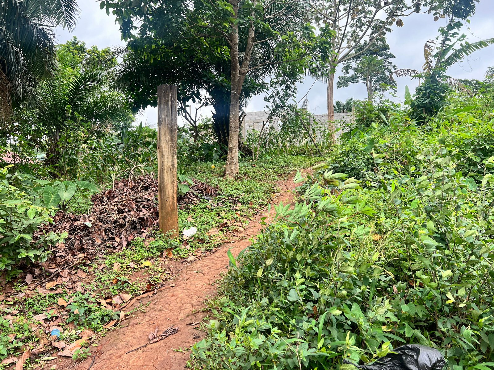 Terrain titré à vendre, Mbankolo, Yaoundé 